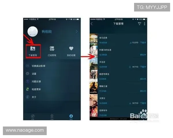 开云网页版登入遇到问题怎么办详细解决方案推荐
