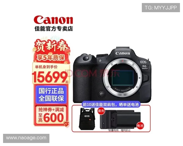 开云KY官网手机版全面攻略助你轻松掌握游戏最新动态与玩法技巧