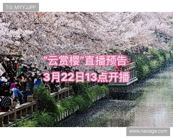 开云体育app评价：赛事覆盖范围与直播质量的详细评价报告